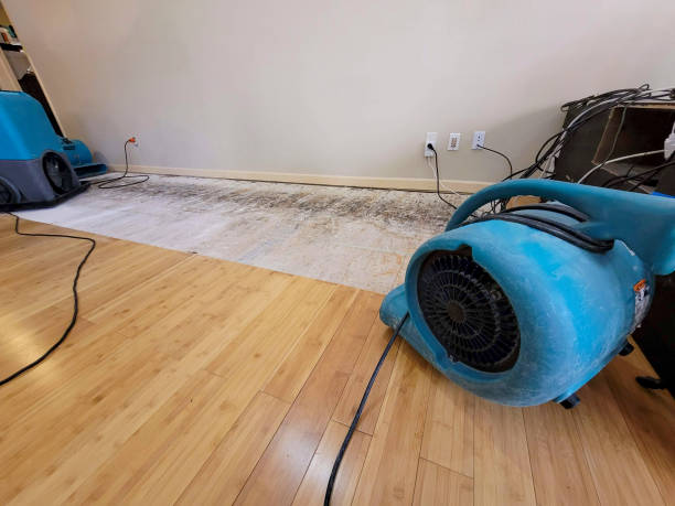Professional Flood Damage Cleanup technician working in Corinth, MS